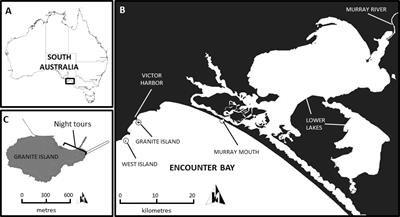 Combined Effects of Hydrological Drought and Reduced Food Availability on the Decline of the Little Penguins in South Australia